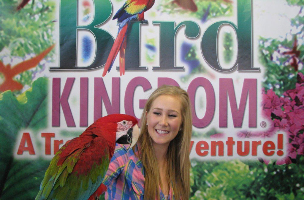 Bird Kingdom A Tropical Adventure