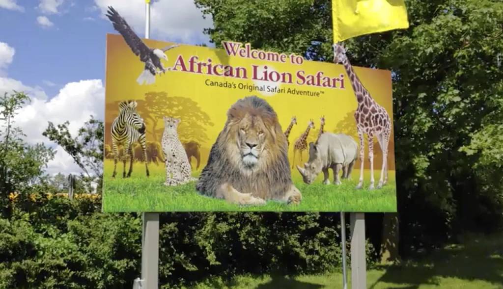 African Lion Safari