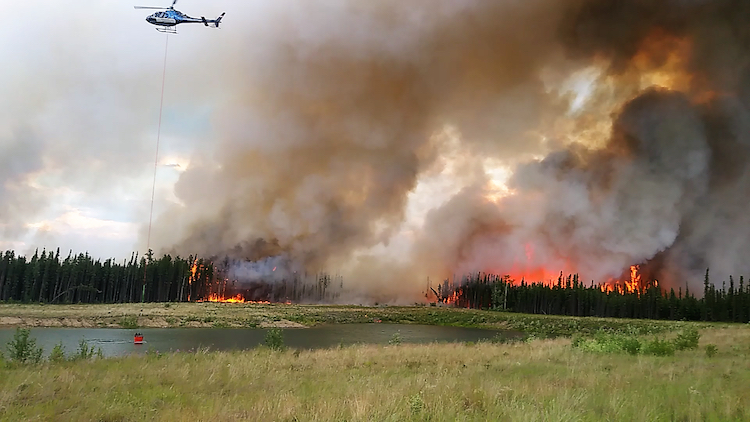 Forest Fires Cause Surge of Hospital Surgeries Cancellations